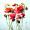 Mohn -
Aquarell 24x32 cm -
von bARTheline -
8.7.2026