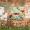 Mohn von bARTheline - 
Collage mit Photo Funia 5