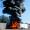 Brand auf der Autobahn am 8.3.2015 - 
Foto bARTheline