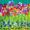 Erinnerungen an ein Blumenfeld 2 -
Mischtechnik -
24x32 cm -
von bARTheline -
8.12.2021