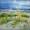 Am Strand von Dueodde -
Aquarell 24x32 cm -
von bARTheline - 
20.9.2022