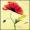 Roter Mohn -
Aquarell 24x32 cm -
von bARTheline -
14.6.2022