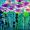 Blumenwiese bei Nacht -
Mischtechnik 24x32 cm -
von bARTheline -
28.6.2022