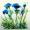 Blaue Blumen -
Mischtechnik 24x32 cm -
von bARTheline -
19.7.2022