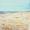 Vogel am Strand von Schillig -
Aquarell 24x32 cm - 
von bARTheline -
11.5.2023