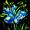 Iris aus unserem Garten -
Aquarell 24x32 cm -
von bARTheline -
16.6.2023