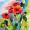 Roter Mohn -
Aquarell 24x32 cm -
von bARTheline -
18.8.2023