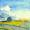 Rapsfeld -
Aquarell 24x32 cm -
von bARTheline -
17.5.2024