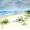 Am Strand von Dueodde -
Aquarell 24x32 cm -
von bARTheline -
26.8.202