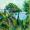 Balkonblick in La Madrague (Provence) -
Aquarell 32x24 -
von bARTheline -
21.9.2025